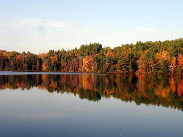 Hiawatha National Forest